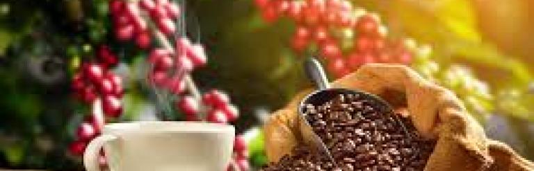 Coffee cup on table with grapes hanging behind it